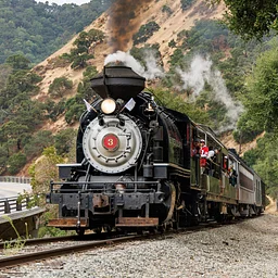 Steam Train