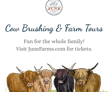 Cow Brushing & Farm Tours