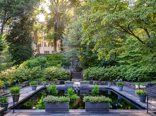 Garden & Estate Insider: Aquatic Plants of the Reflecting Pool