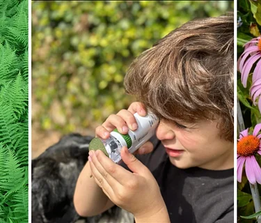Mini Microscope Monday (Ages 3+)