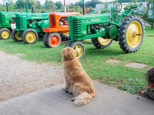 Antique Tractor Show