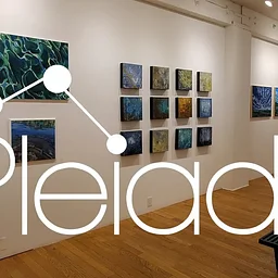 Pleiades Gallery