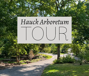 Hauck Arboretum Tour