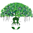 The Banyan Live