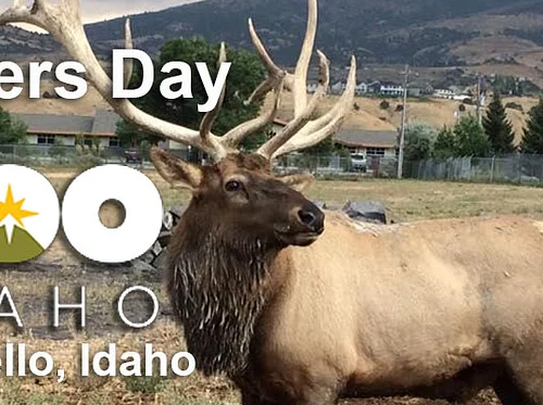 Father’s Day at the Zoo