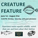 Creature Feature