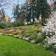 Dunn Gardens