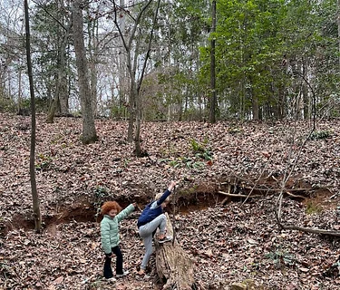 Woodland Explorers