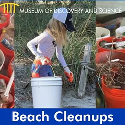Beach Clean-ups