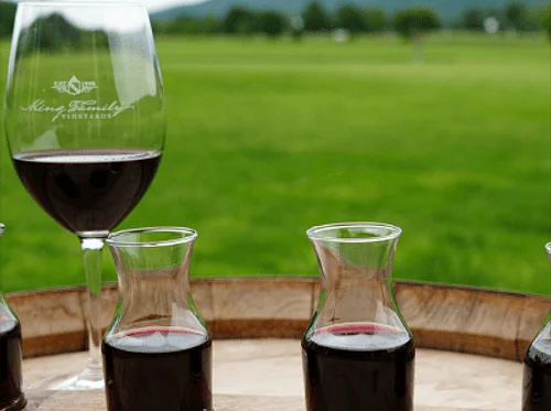 DAY TRIP: King Family Wine Tasting + Picnic Lunch Trip