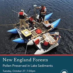 New England Forests: Insights From Ancient Pollen Preserved in Lake Sediments