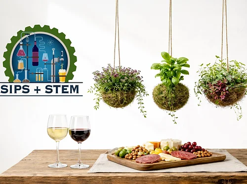 Sips + STEM: The Art of Kokedama