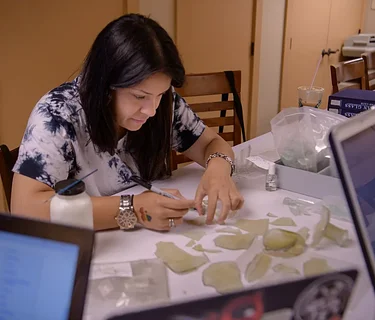 Archaeology Field School (Lab Session)