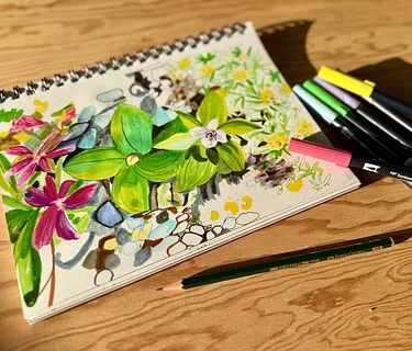 Ink Drawing Alpine and Subalpine Wildflowers
