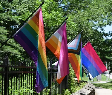 Pride in the Preserves: Flags & Exhibit