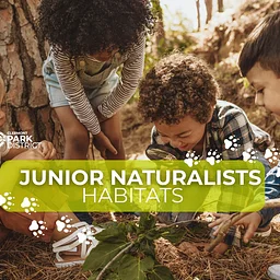 Junior Naturalists: Habitats