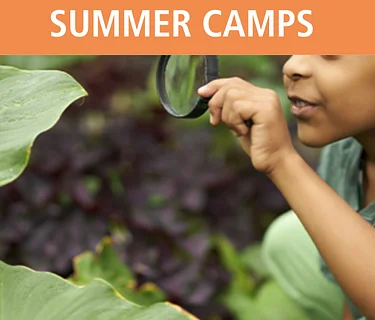 Garden Guests Summer Camp 6.29 & 6.30