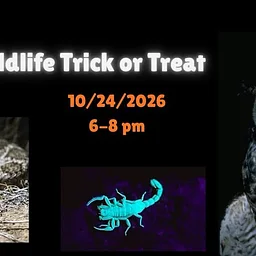 Wildlife Trick or Treat