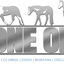 Zone One - APHA (Silverado Arena)