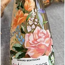 Paint your Bottle of Rosé