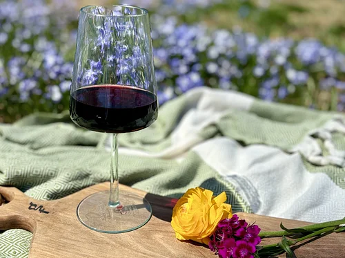 Riverside Reserve: A Wine & Cheese Experience