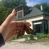 Washington Island Art & Nature