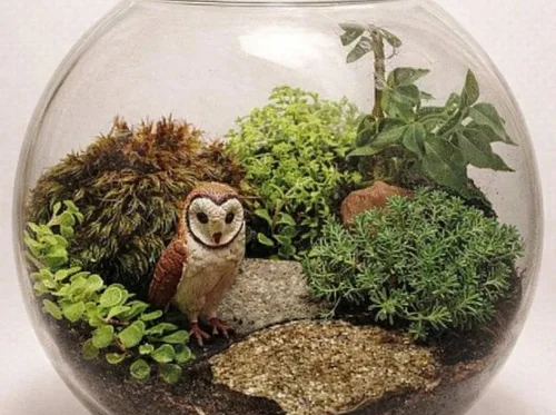 Terrarium Workshop