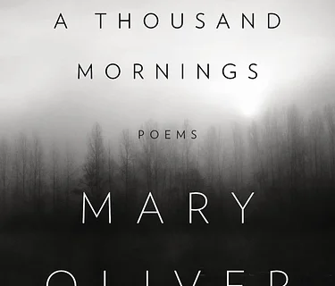A Thousand Mornings