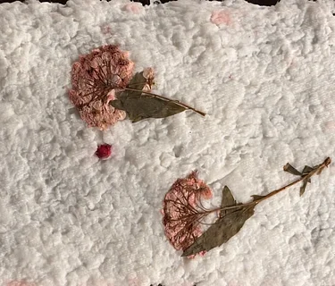 Medium & Techniques | Papermaking