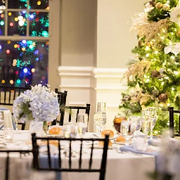 Holiday Party Promo
