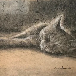 How to Draw Your Furry Friend