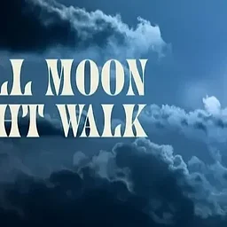 Full Moon Night Walk at Mason Mill Park
