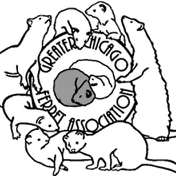 GREATEST FERRET SHOW ON EARTH 2026