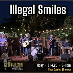 Illegal Smiles
