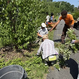 Reforestation Planting Day