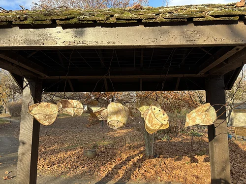 Arts in Nature Tour: Health/Care Network