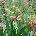 July Garden Tour
