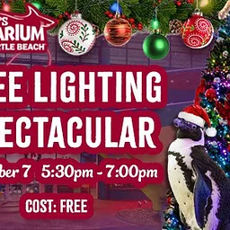 Ripley’s Aquarium Plaza Tree Lighting