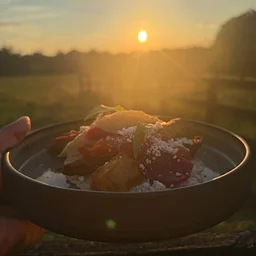 Gluten Free Veggie Tacos