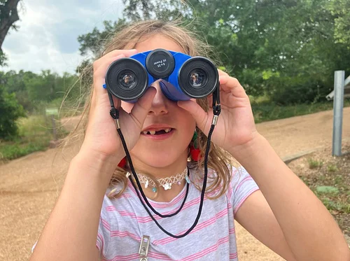 Homeschool Day: All About Birds