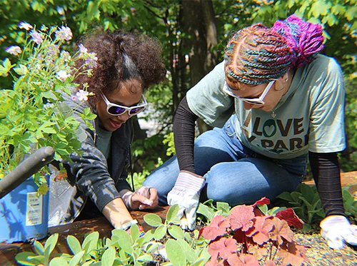 Community Gardening Day