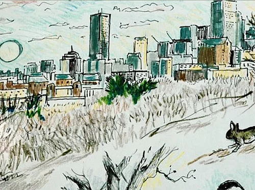 Nature Drawing Workshop with Clare Walker Leslie