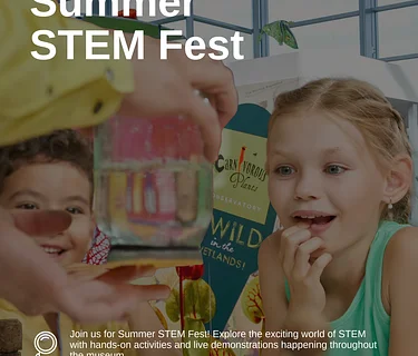 Summer STEM Fest
