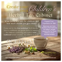The Children’s Herbal Tea Cabinet: A Tea Thyme Experience