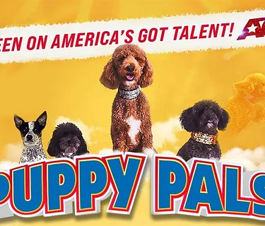 Puppy Pals LIVE