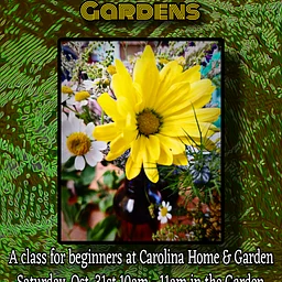 Meditation in the Gardens