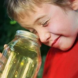 Nature for Toddlers: Fireflies