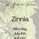 A Year in Bloom: Zinnia