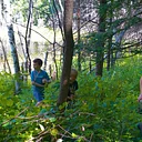 Wonder Wednesday: Fungus Among Us