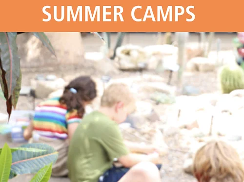 Garden Artists Summer Camp 7.27-7.31